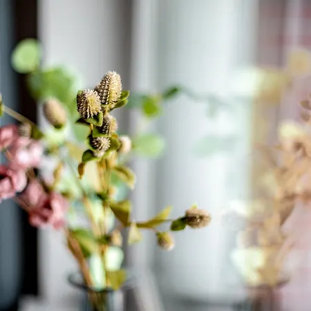 Appartement Hygge Kołobrzeg